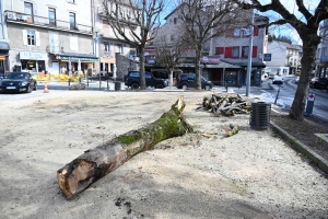 Le Chambon-sur-Lignon : pourquoi 6 arbres ont été abattus sur la place du village