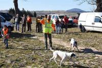 Saint-Julien-Chapteuil : un concours de chiens de meute ce week-end