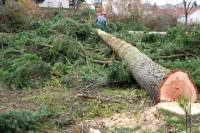 Monistrol-sur-Loire : les derniers arbres de l&#039;ancien camping tombent