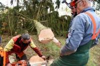 Monistrol-sur-Loire : les derniers arbres de l&#039;ancien camping tombent