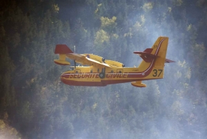 Tiranges : au coeur du feu de forêt qui a détruit 16 hectares (vidéo)