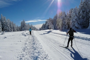 Les pistes de ski et de raquettes ouvertes sur le Mézenc et le Meygal