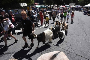 Saint-Front : un vide-greniers, un marché et quelques chèvres le 19 juillet