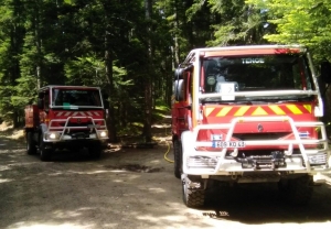 Tence : 15 pompiers en formation feux de forêt