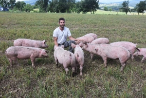 Beauzac : Florian Clavaron lance un élevage de porcs en plein air