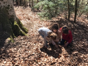 Le Chambon-sur-Lignon : une chasse aux œufs plébiscitée au bois Lambert