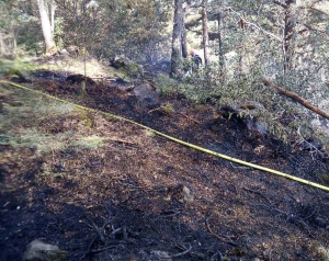 Freycenet-la-Tour : deux hectares de broussailles brûlés
