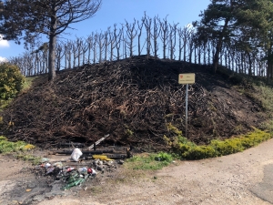 Monistrol-sur-Loire : deux feux de poubelles allumés, la haie du stade brûlée