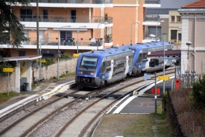 Aurec-sur-Loire : un train percute une chèvre en divagation