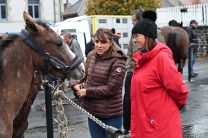 Crachin et crottin sur la foire aux chevaux de Fay-sur-Lignon