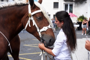 Les chevaux lourds font leur show dimanche au jardin Henri-Vinay au Puy-en-Velay