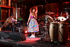 Rhino Jazz(s) Festival à Monistrol : quand culture et industrie font bon ménage