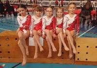 Gymnastique : pas de podium régional pour Yssingeaux en aérobic