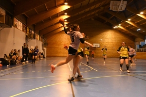 Handball, N3 : l&#039;entente Sucs et Velay craque en fin de match