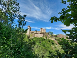 Le château de Rochebaron. Crédit DR