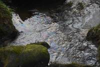 Saint-Pal-de-Mons : une pollution aux hydrocarbures dans un ruisseau