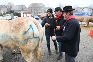 Les Estables : les bovins de Freycenet-la-Cuche à l&#039;honneur à la foire grasse
