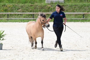 Equitation : 95 poneys Shetland ont concouru à Yssingeaux