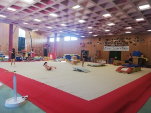 Monistrol-sur-Loire : une semaine multisports pour les gymnastes