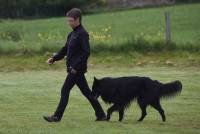 Deux titres régionaux pour la Haute-Loire en obéissance canine