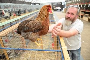 Saint-Julien-du-Pinet : 300 animaux à voir dimanche sur l&#039;exposition d&#039;aviculture