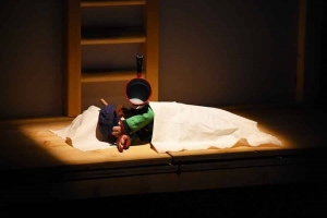 Puy-en-Velay : des marionnettes pour aider à grandir au théâtre de poche du Mayapo